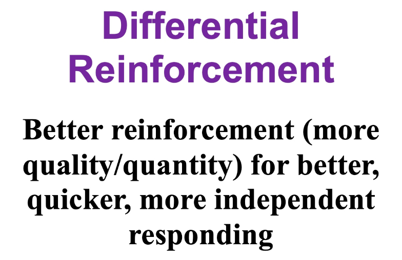 preview image of Differential_Reinforcement.doc for Differential Reinforcement Wall Cue