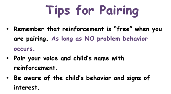 preview image of Tips_for_Pairing.doc for Tips for Pairing