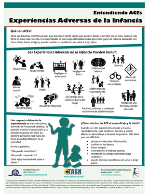 preview image of Spanish_version_Entendiendo_ACEs3-21.pdf for Entendiendo ACEs Experiencias Adversas de la Infancia (Understanding ACEs & Resiliency - Spanish Version)