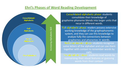 preview image of Ehri_s_Phases_of_Word_Reading_Development_Graphic__JB__1_.pptx-3.pdf for Ehri's Phases of Word Reading Development